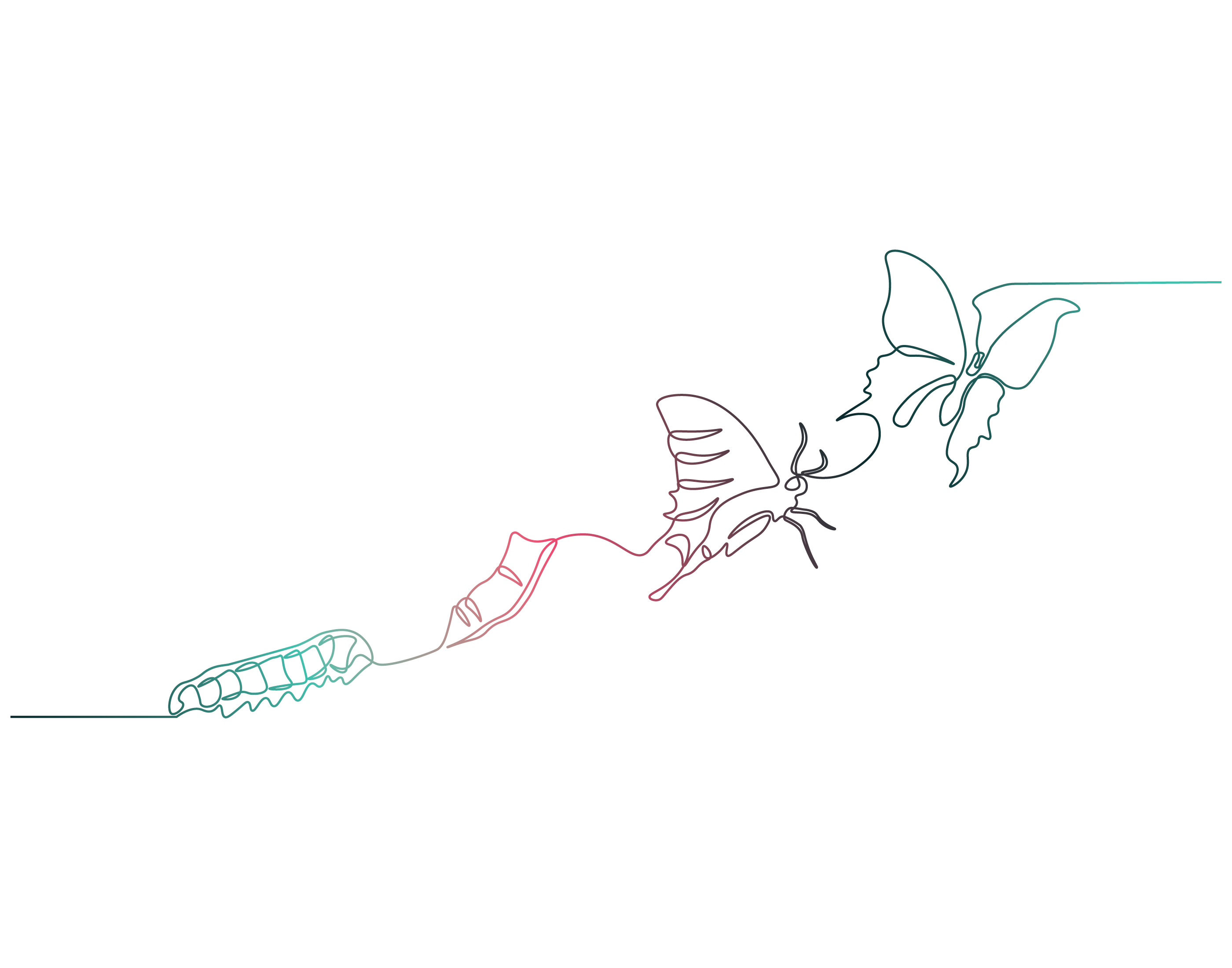 Butterfly Transformation